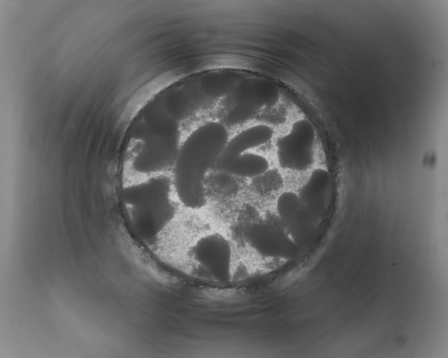 X0000112071121200909151042