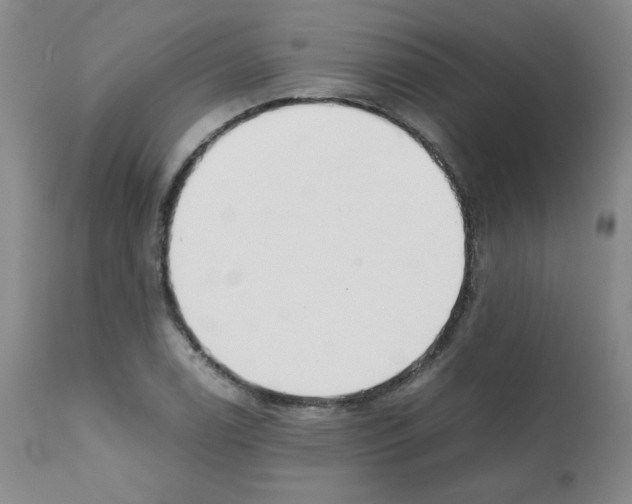 X0000112071122200909151042