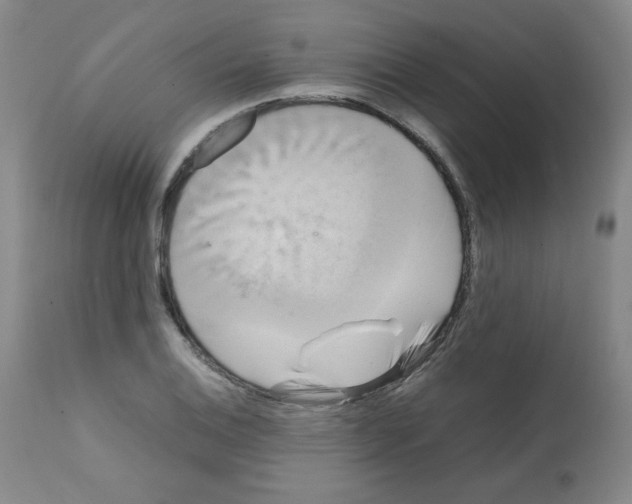 X0000112071124200909151042
