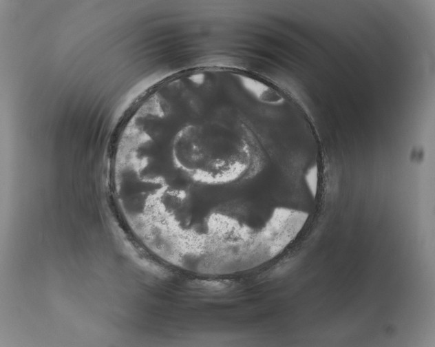 X0000112071125200909151042