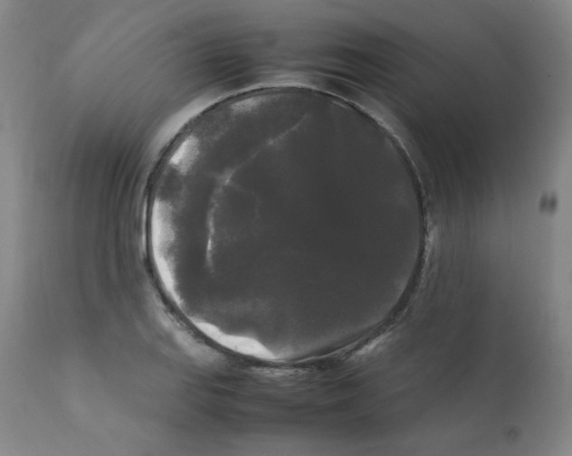 X0000112071127200909151042