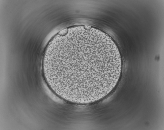 X0000112071130200909151042
