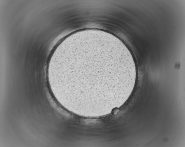 X0000112071133200909151042