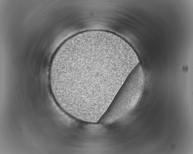 X0000112071134200909151042