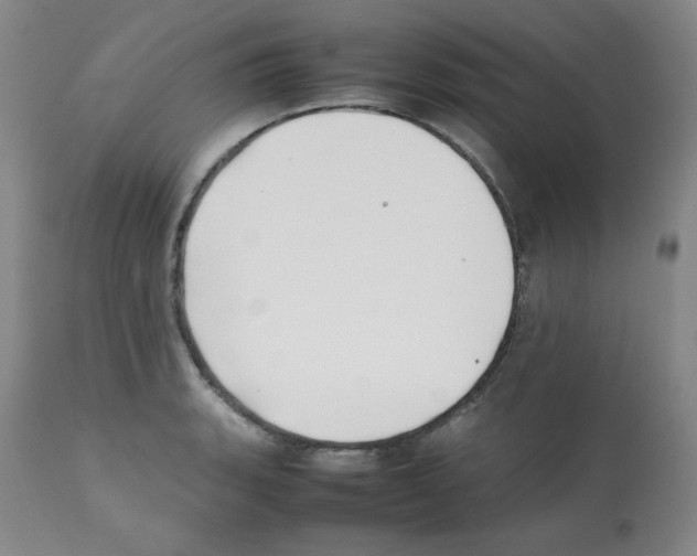 X0000112071135200909151042
