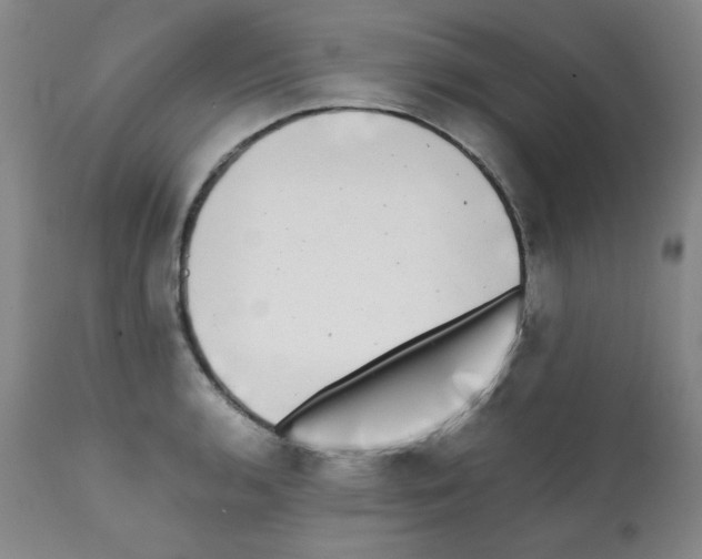 X0000112071136200909151042