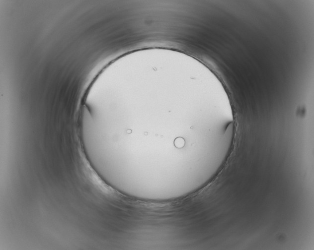 X0000112071140200909151042
