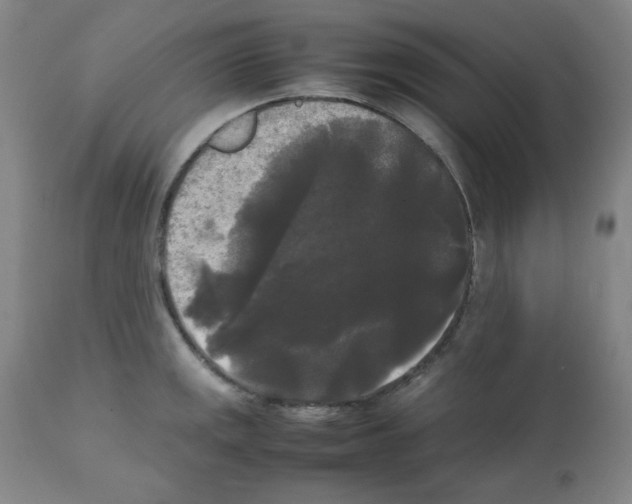 X0000112071141200909151043