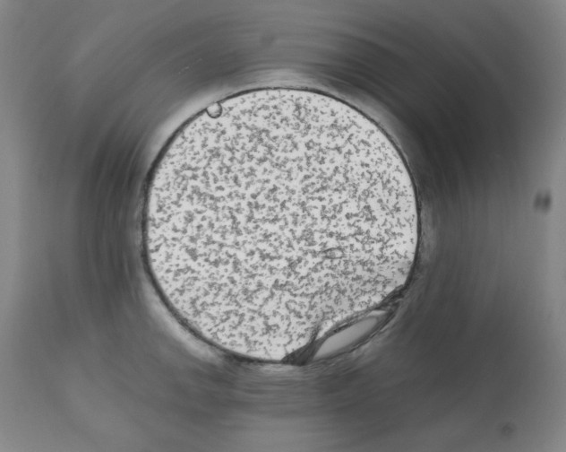 X0000112071142200909151043