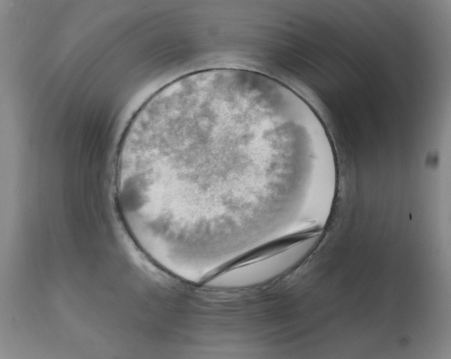 X0000112071144200909151043