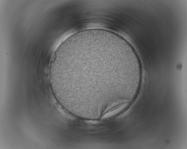 X0000112071145200909151043