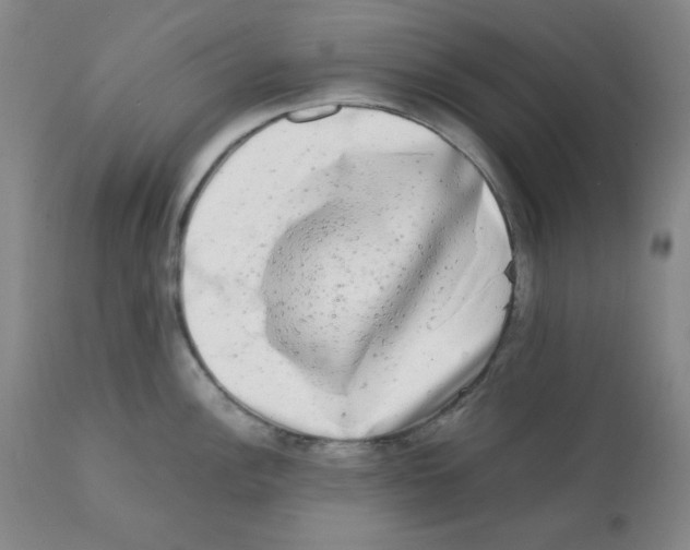 X0000112071148200909151043
