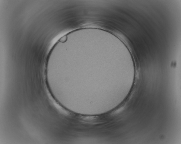 X0000112071149200909151043