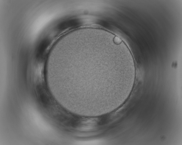 X0000112071150200909151043