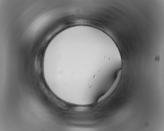 X0000112071151200909151043