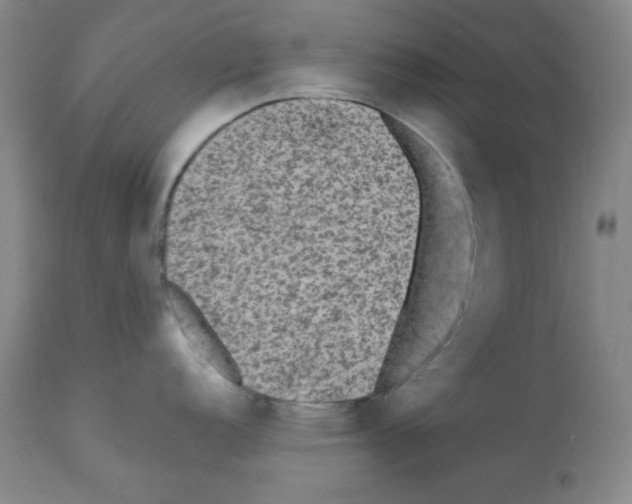 X0000112071152200909151043