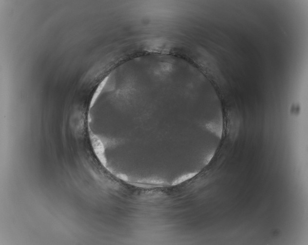 X0000112071154200909151042