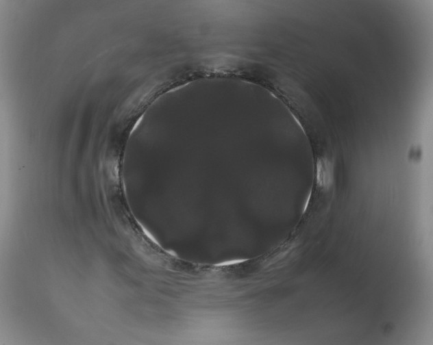 X0000112071155200909151042