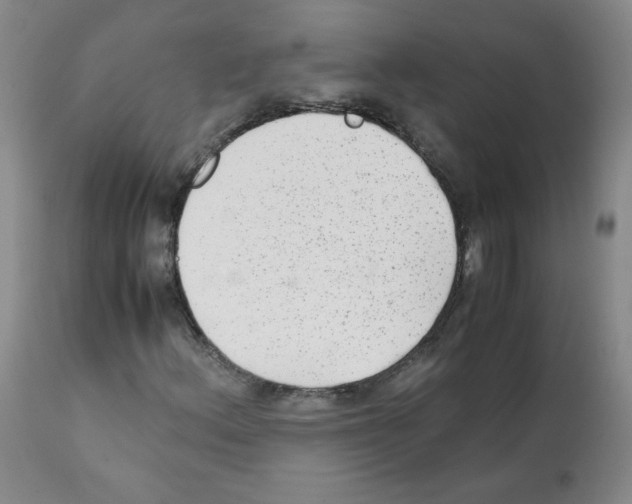 X0000112071156200909151042