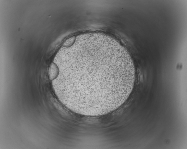 X0000112071158200909151042