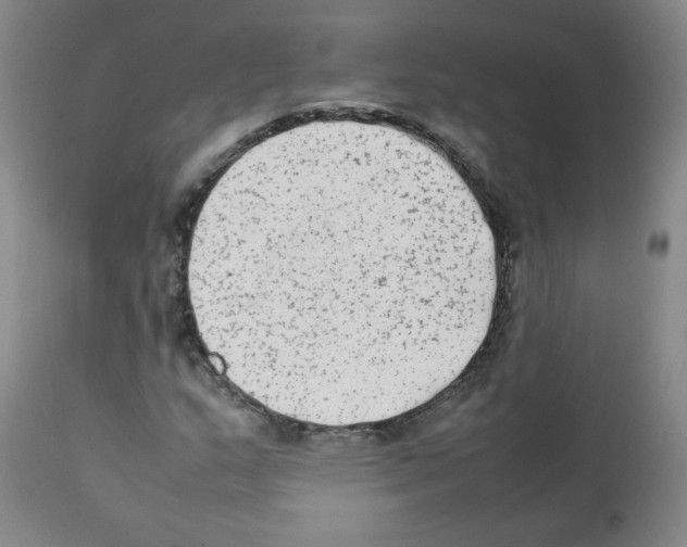 X0000112071159200909151042