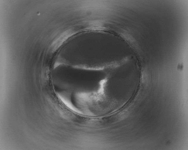 X0000112071161200909151042