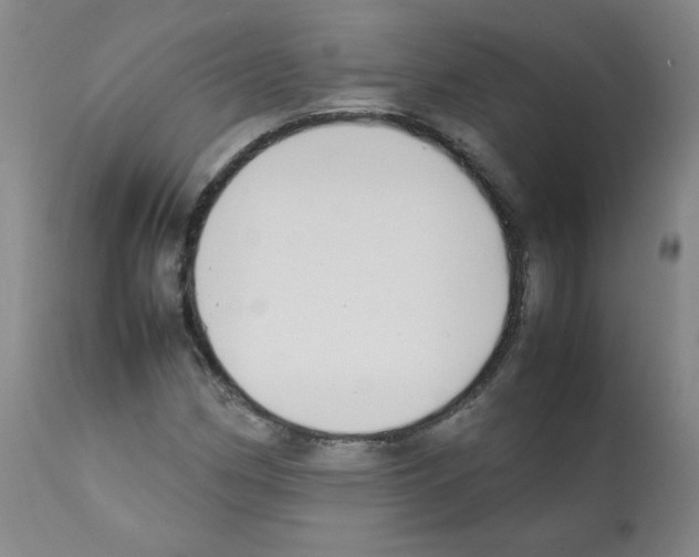 X0000112071162200909151042