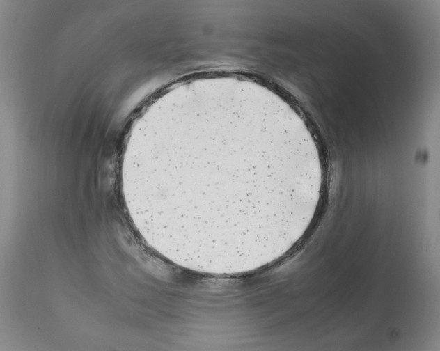 X0000112071163200909151042