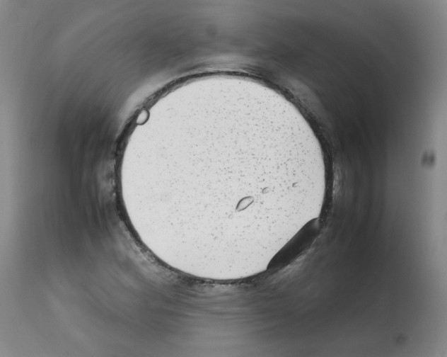 X0000112071164200909151042