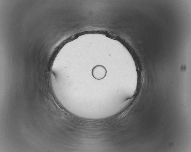 X0000112071165200909151042
