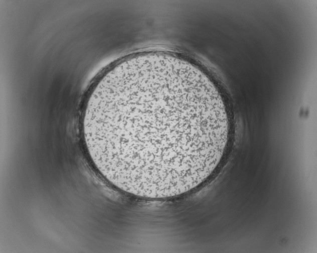X0000112071166200909151042