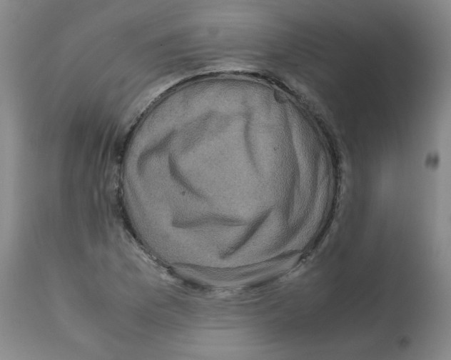 X0000112071169200909151042