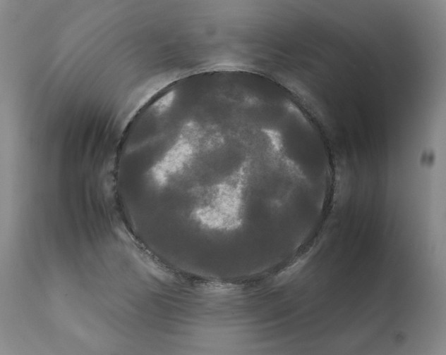 X0000112071170200909151042