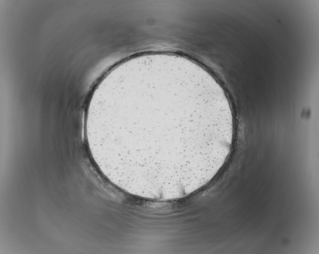 X0000112071171200909151042