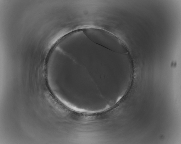 X0000112071173200909151042