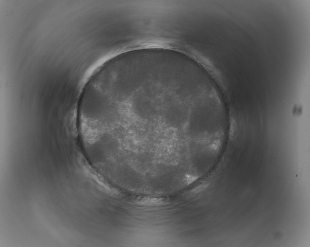 X0000112071174200909151042