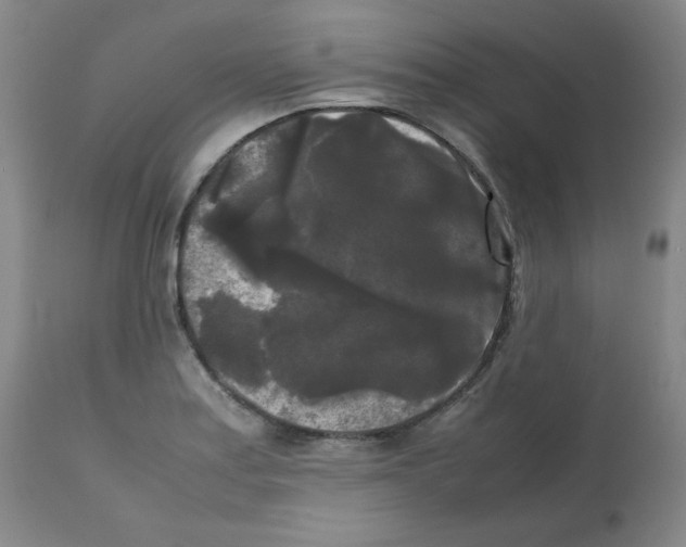 X0000112071179200909151041