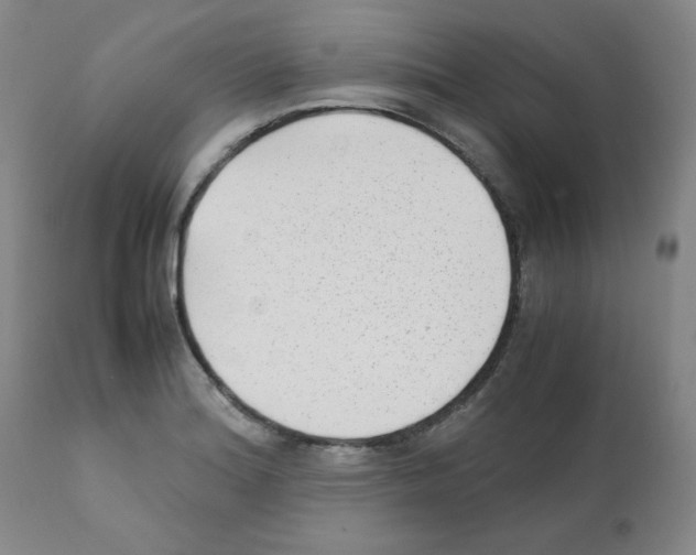 X0000112071180200909151041