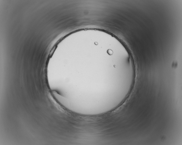 X0000112071181200909151041