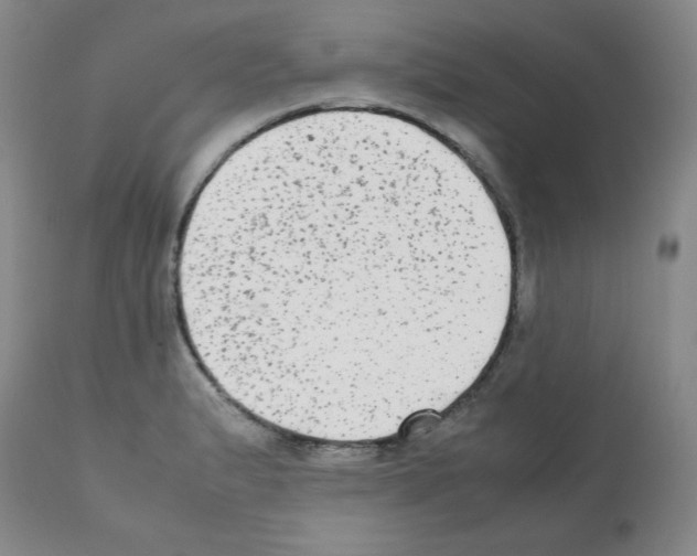 X0000112071183200909151041
