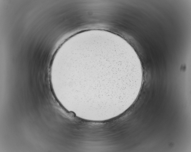 X0000112071184200909151041