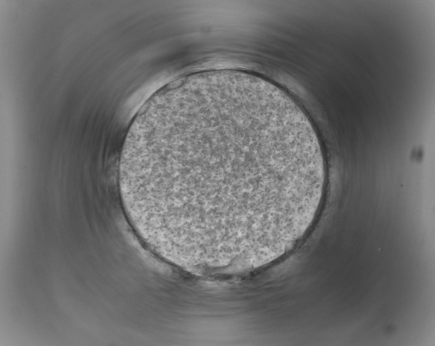 X0000112071185200909151041