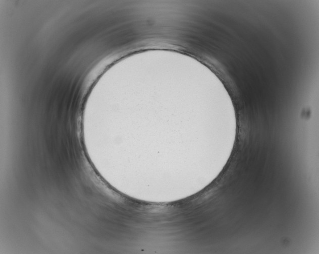 X0000112071188200909151041