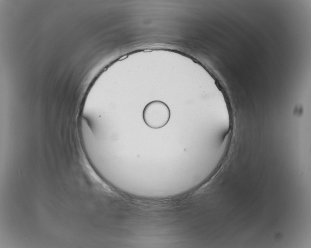 X0000112071189200909151041