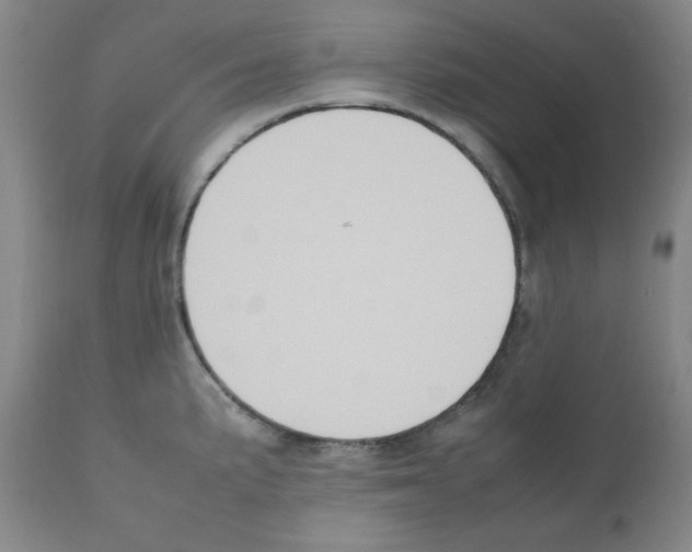 X0000112071191200909151041