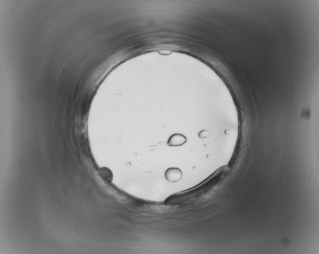 X0000112071193200909151041