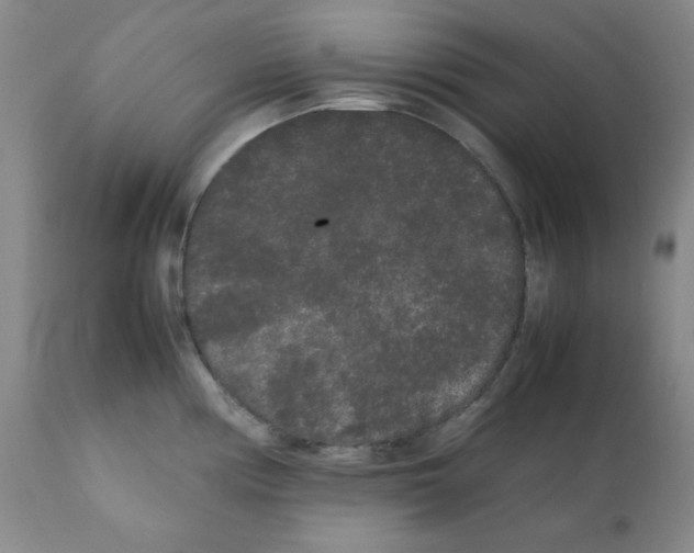 X0000112071194200909151041