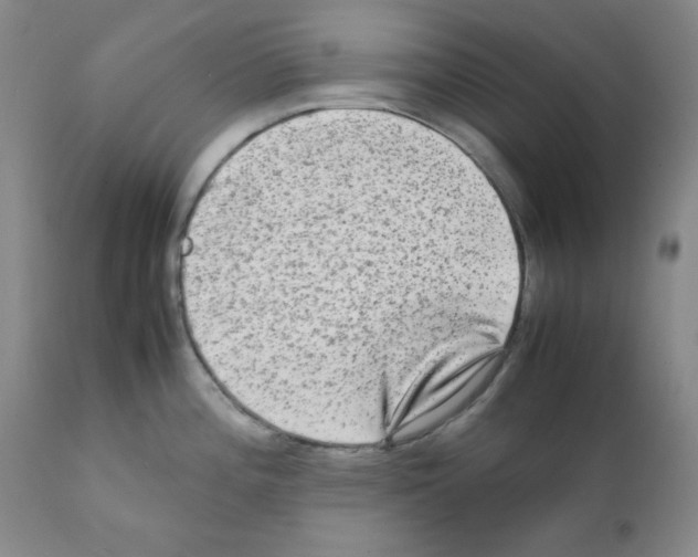 X0000112071196200909151041
