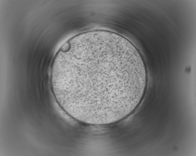 X0000112071198200909151041