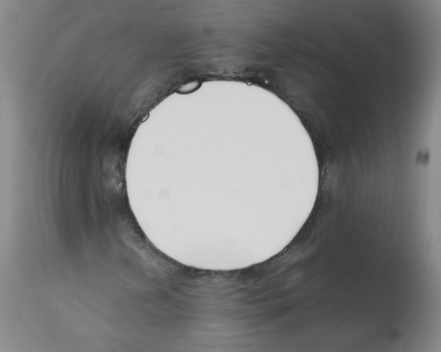 X0000112071202200909151040